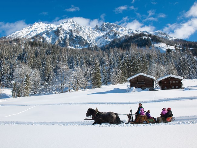 Romantische Pferdeschlittenfahrt